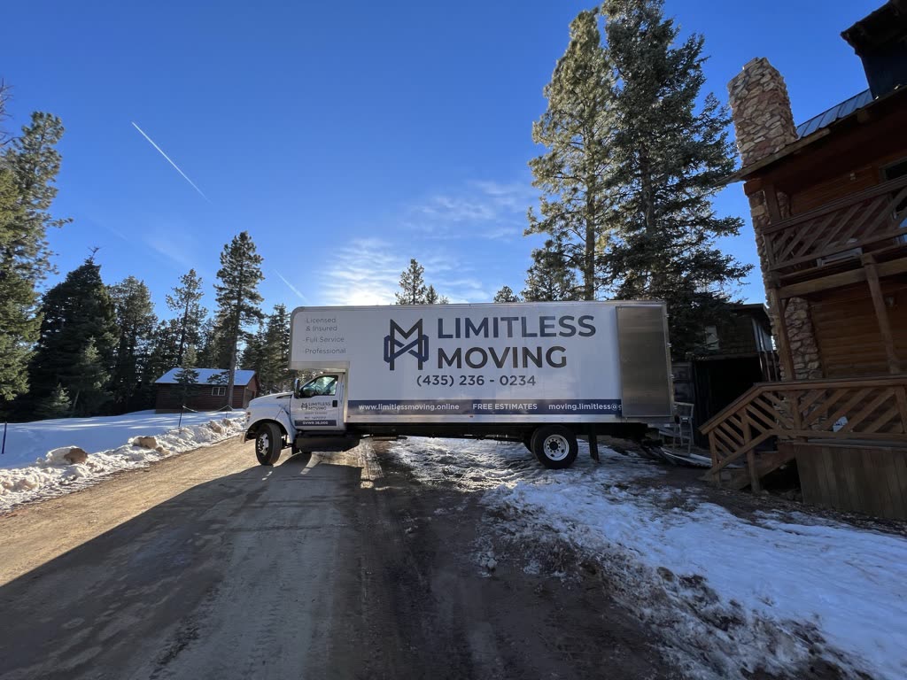 Moving day in the snow
